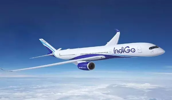 1369685-1
