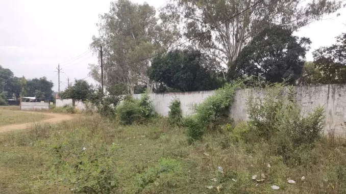 1370239-whatsapp-image-2024-10-17-at-192001-1
