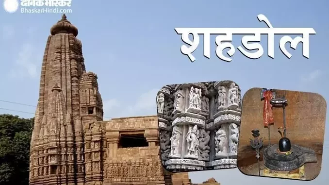 1371425-shahdol-1