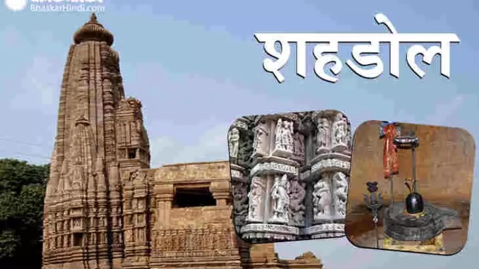 1376762-shahdol-1