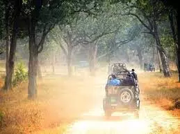 1383999-jangal-safari-0