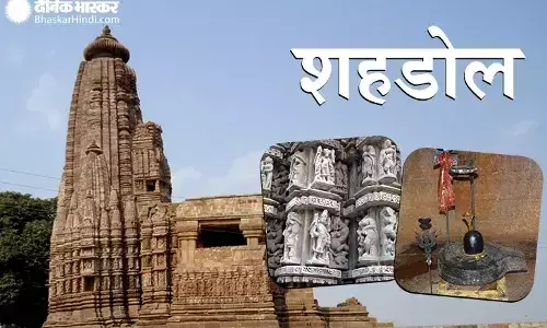 1396696-500x300794054-shahdol