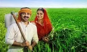 1399493-kisan