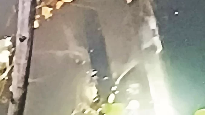 1402782-car-1